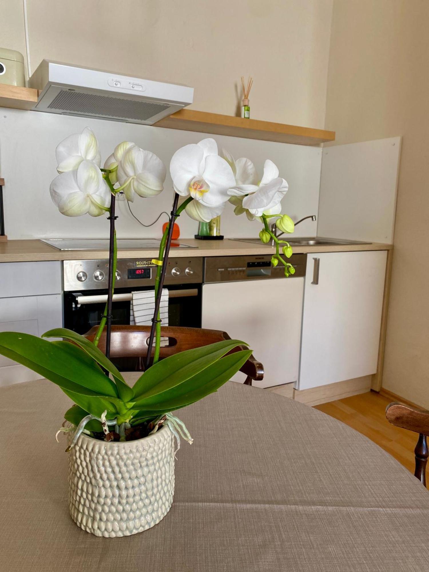 Ba Em City Apartment ヴィースバーデン エクステリア 写真